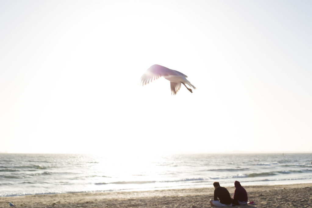 melbourne, st kilda beach, australia
